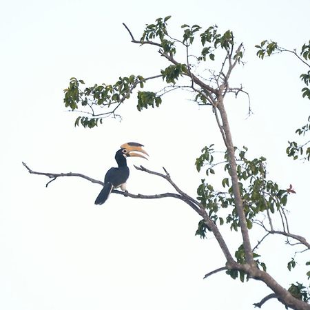 Pelican View Cottages Kataragama Exteriér fotografie
