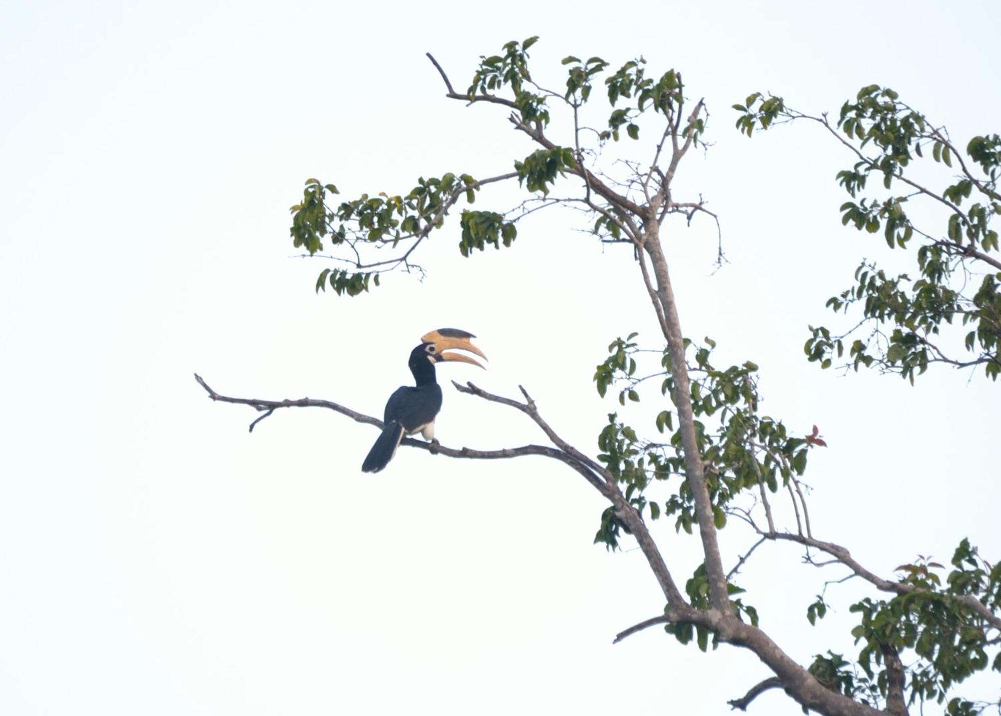 Pelican View Cottages Kataragama Exteriér fotografie